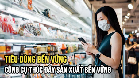 Tiêu dùng bền vững - công cụ thúc đẩy sản xuất bền vững