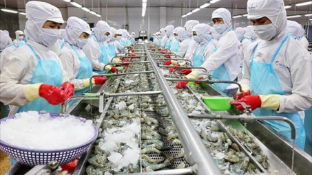 Doanh nghiệp xuất khẩu cần tìm hiểu kỹ quy định an toàn thực phẩm