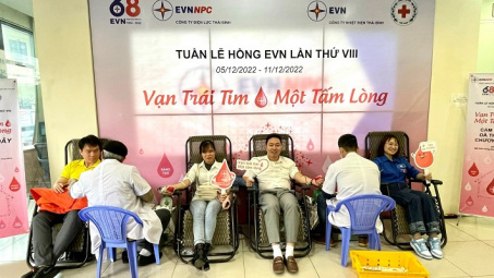 Nhiệt điện Thái Bình hưởng ứng Tuần lễ hồng lần thứ VIII: Vạn trái tim - Một tấm lòng