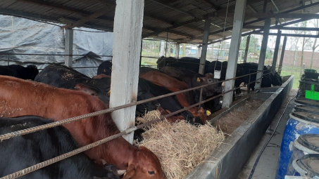 Quỹ tín dụng nhân dân Tây Điện Bàn: Hợp tác, hỗ trợ thành viên cùng phát triển