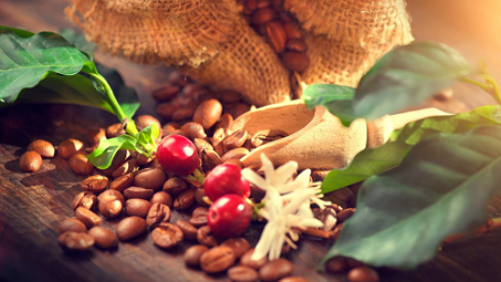 11 tháng, xuất khẩu cà phê đạt 6,32 tỷ USD