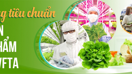 [E-magazine] Đáp ứng tiêu chuẩn an toàn thực phẩm theo EVFTA