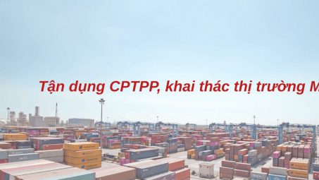 [E-magazine] Tận dụng CPTPP, khai thác hiệu quả dư địa thị trường Mexico