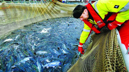 Một số quy định khi xuất khẩu thuy sản vào Canada doanh nghiệp cần lưu ý