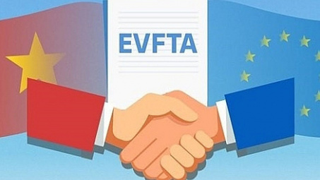 Cách thức giải quyết tranh chấp giữa các thành viên EVFTA