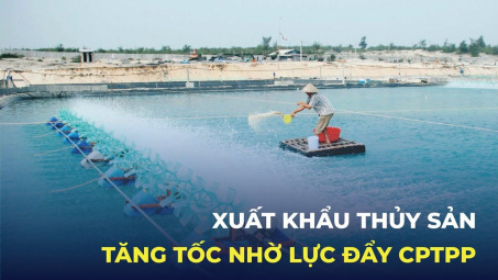 Xuất khẩu thủy sản tăng tốc nhờ lực đẩy CPTPP