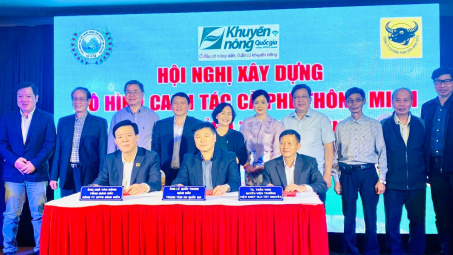 Bình Điền xây dựng mô hình canh tác cà phê thông minh cho 5 tỉnh Tây nguyên