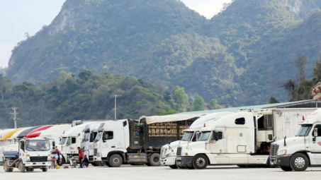 Lạng Sơn tạm dừng tiếp nhận phương tiện chở hoa quả tươi xuất khẩu từ ngày 16/2