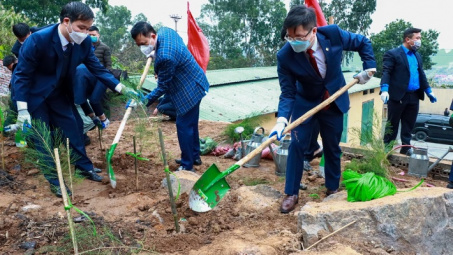 Than Thống Nhất sẽ trồng mới 5.000 cây xanh trong năm 2022