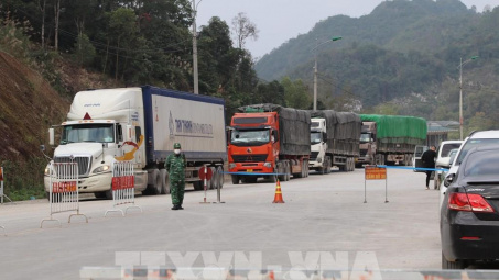 Trên 1.600 mã sản phẩm nông sản, thực phẩm được xuất khẩu sang Trung Quốc