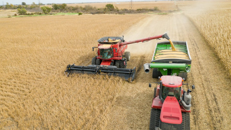 Giá đậu tương thế giới tiếp tục tăng mạnh, nhu cầu thu mua ở mức cao