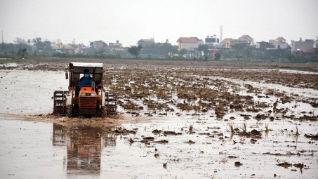 EVN đã đảm bảo cấp nước sản xuất nông nghiệp vụ Đông Xuân 2022