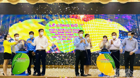 Đồng Tháp xuất khẩu 3 tấn xoài Cát Chu sang châu Âu