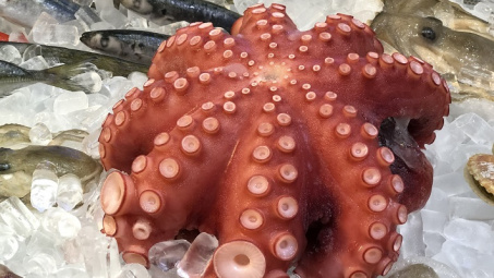 Tháng 1/2022: Xuất khẩu mực chế biến tăng mạnh