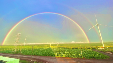 Đấu nối nguồn năng lượng tái tạo vào lưới điện truyền tải: Kinh nghiệm từ Truyền tải điện Gia Lai