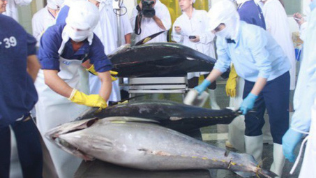 Tháng 1/2022, xuất khẩu cá ngừ tăng trưởng 3 con số