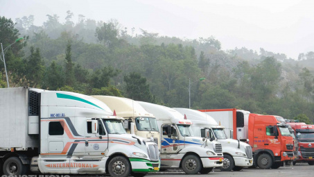 Xử lí nghiêm các hành vi lợi dụng tình trạng ùn tắc hàng hoá để vi phạm pháp luật