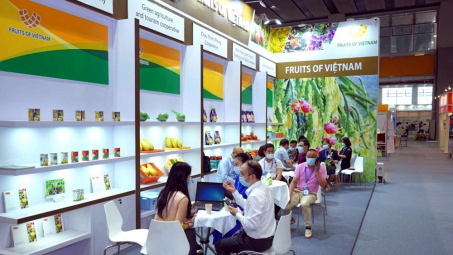 Xúc tiến thương mại trên môi trường số: Hỗ trợ doanh nghiệp giao thương hiệu quả trong tình hình mới