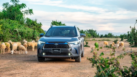 Corolla Cross và Vios top 10 xe bán chạy tháng 2