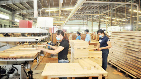 Phát triển ngành công nghiệp chế biến gỗ bền vững, hiệu quả