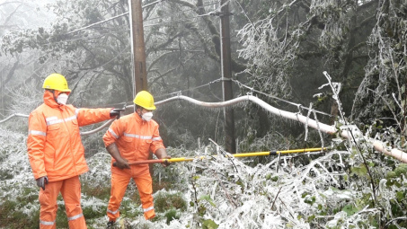 EVNNPC: Xử lý tồn tại trên lưới điện để cung ứng điện an toàn