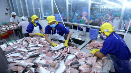Xuất khẩu cá tra sang EU tăng mạnh trở lại
