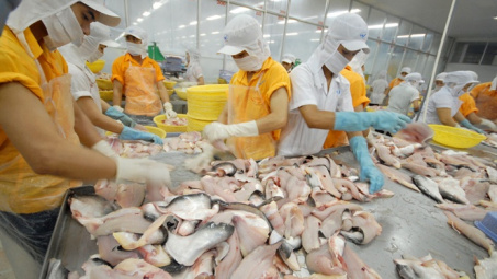 Đề nghị công nhận thêm 6 doanh nghiệp được xuất khẩu cá tra vào Hoa Kỳ