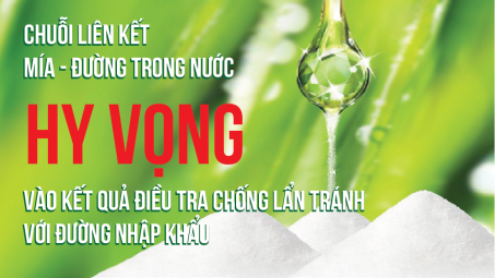 Chuỗi liên kết mía - đường trong nước hy vọng vào kết quả điều tra chống lẩn tránh với đường nhập khẩu