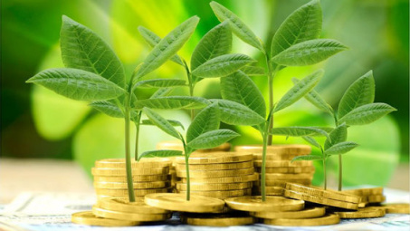 Ngân hàng xanh - Bảo vệ môi trường: Sáng kiến cho phát triển bền vững tại Việt Nam