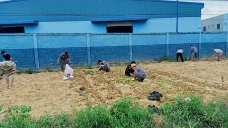 Tuổi trẻ VINACHEM: Thiết thực hưởng ứng “Ngày Chủ nhật Xanh” năm 2022