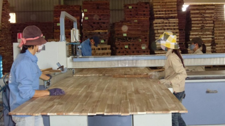 Nhiều dư địa, tiềm năng phát triển kinh tế tập thể, hợp tác xã