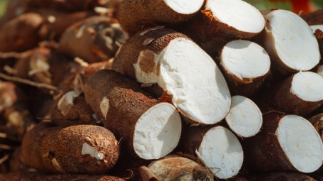 Tổng cục Thuế phản hồi kiến nghị của doanh nghiệp xuất khẩu sắn về hoàn thuế GTGT