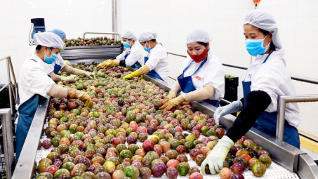 Xuất khẩu nông sản sang Nhật Bản: Linh hoạt đáp ứng những thay đổi của thị trường