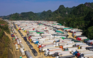 Xuất khẩu nông sản: Cần làm gì khi thị trường không còn dễ tính?