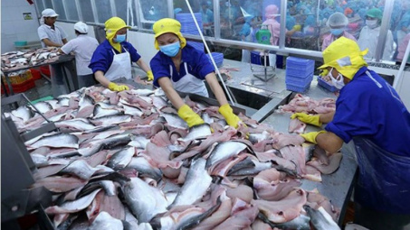 Cơ hội vàng cho Việt Nam xuất khẩu cá tra sang thị trường Anh