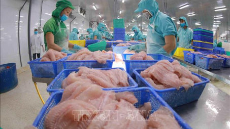 Chủ động ứng phó rào cản thương mại