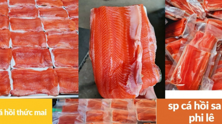 Hướng tới chế biến sâu mặt hàng cá Hồi, cá Tầm Lào Cai