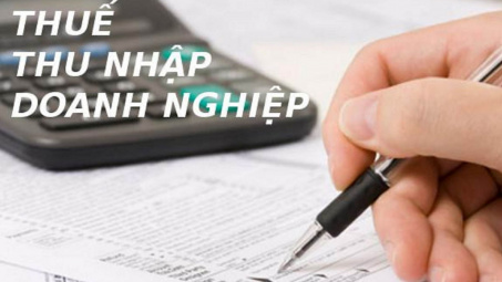 Nhận diện các nhân tố tác động đến tuân thủ thuế thu nhập doanh nghiệp từ mô hình răn đe kinh tế