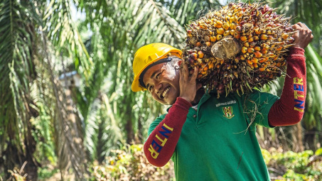 Malaysia xem xét giảm 50% thuế xuất khẩu dầu cọ nhằm tăng nguồn cung cho thị trường quốc tế