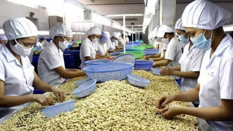 Hỗ trợ doanh nghiệp gia tăng xuất khẩu hạt điều sang thị trường Đông và Tây Âu