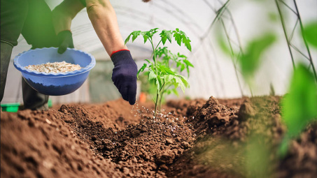 Ngân hàng Thế giới: Giá phân bón sẽ còn neo ở mức cao kỷ lục thời gian tới