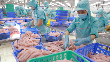 Xuất khẩu cá tra sang Canada tăng hơn 69%