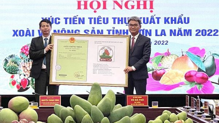 3 sản phẩm nông sản tỉnh Sơn La được cấp giấy chứng nhận đăng ký nhãn hiệu