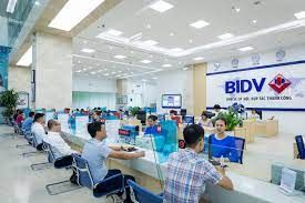 Giải pháp hoàn thiện hoạt động quảng bá thương hiệu tại Ngân hàng thương mại cổ phần Đầu tư và Phát triển Việt Nam