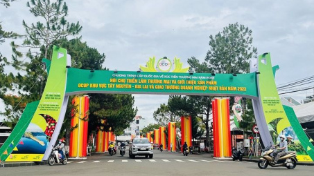 Gia Lai: Khai mạc Hội chợ triển lãm thương mại và giới thiệu sản phẩm OCOP