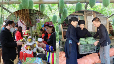 Bắc Kạn: Xúc tiến tiêu thụ Bí xanh thơm, sản phẩm OCOP