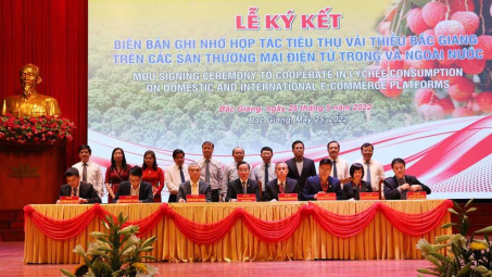 Bắc Giang: 80 điểm cầu trong nước và quốc tế tham gia Hội nghị Xúc tiến thương mại vải thiều năm 2022