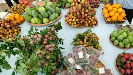 Phân phối nông sản chính vụ trên các nền tảng trực tuyến đã dần bài bản