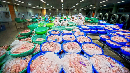 Hỗ trợ xúc tiến thương mại thủy sản hiệu quả với thị trường Châu Phi