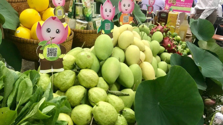 Sắp diễn ra Hội nghị giao thương Việt Nam - Lào và Việt Nam - Campuchia